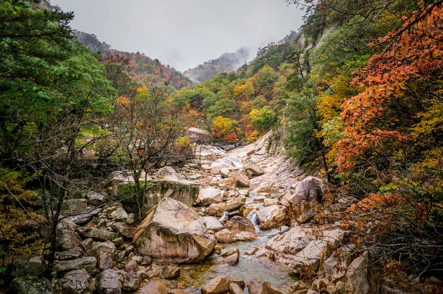 Autumn colour along a rocky stream valley in a Korean mountain park