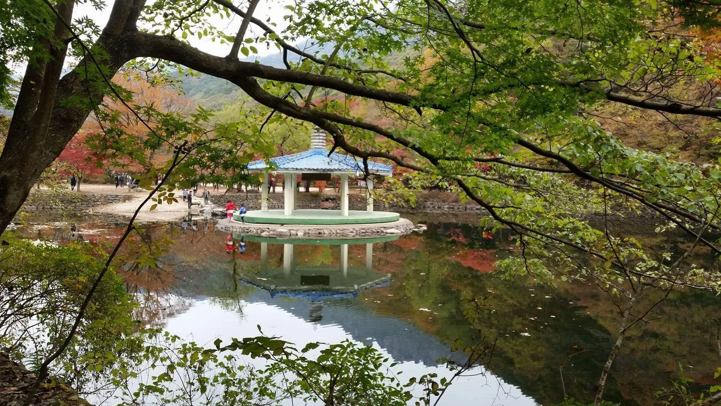 内蔵山の紅葉 — 写真: Marcella Astrid (CC BY-SA 3.0), via Wikimedia Commons