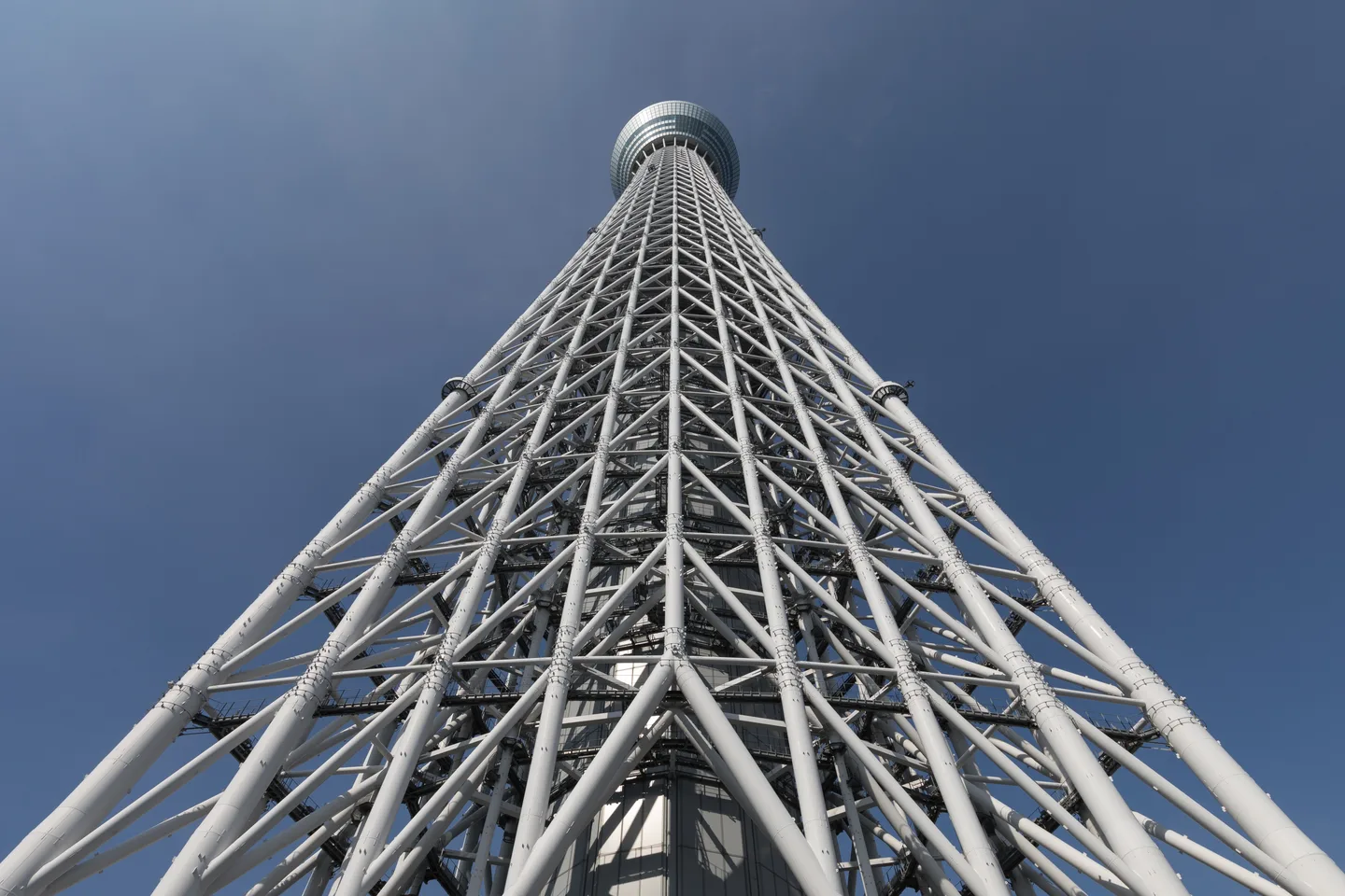 Tokyo Skytree seen from directly below on a clear day — the tallest of Tokyo's three observation decks — Photo: Basile Morin (CC BY-SA 4.0)