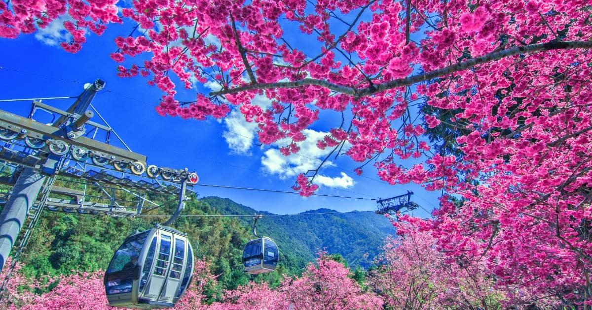 Formosan Aboriginal Culture Village Ticket