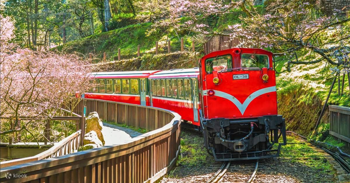 Alishan Day Tour (from Taichung/Chiayi/Kaohsiung)